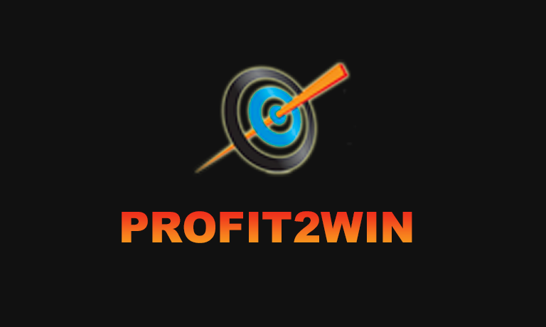 Profits to Win business course