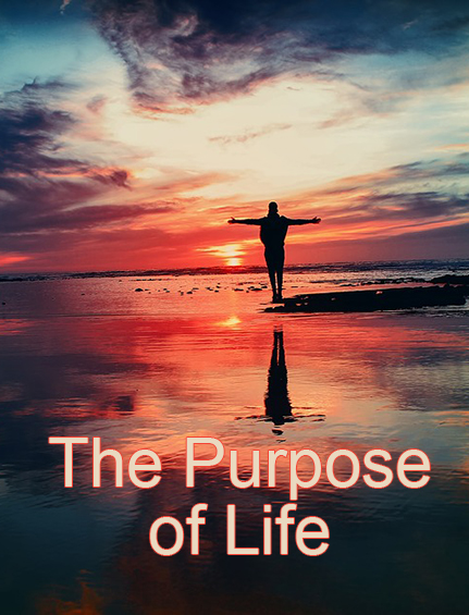 Discover your life’s purpose